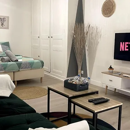 Apartmán La Petite Fleur - Centre Niort