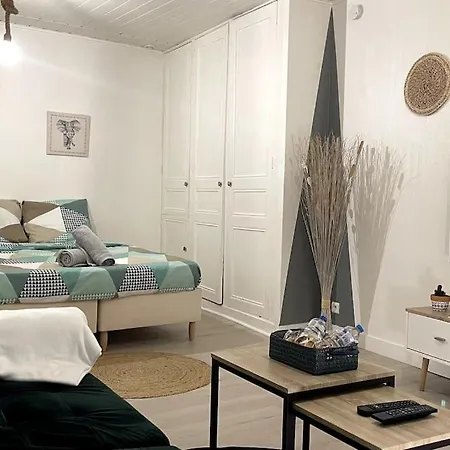 Apartment La Petite Fleur - Centre *